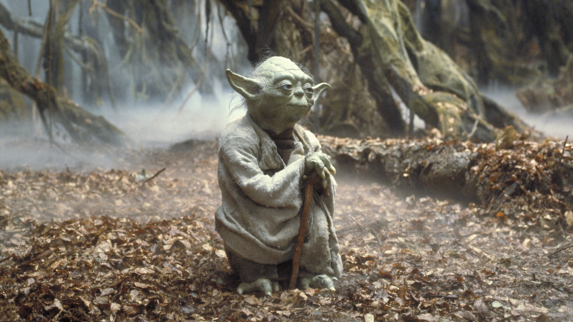 Yoda puppeteered by Frank Oz as seen in The Empire Strikes Back (1980). © & ™ Lucasfilm. All Rights Reserved